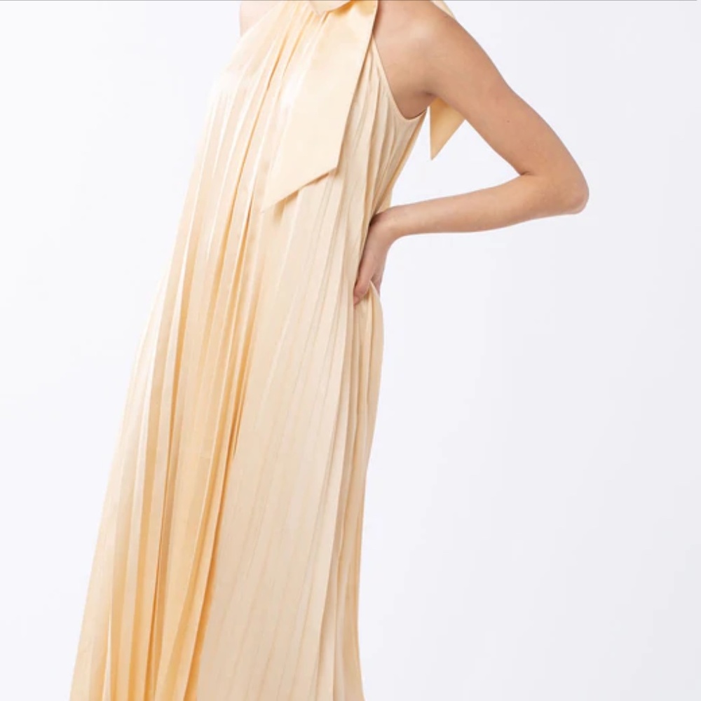 Abbey Glass NWT Maxi Dress